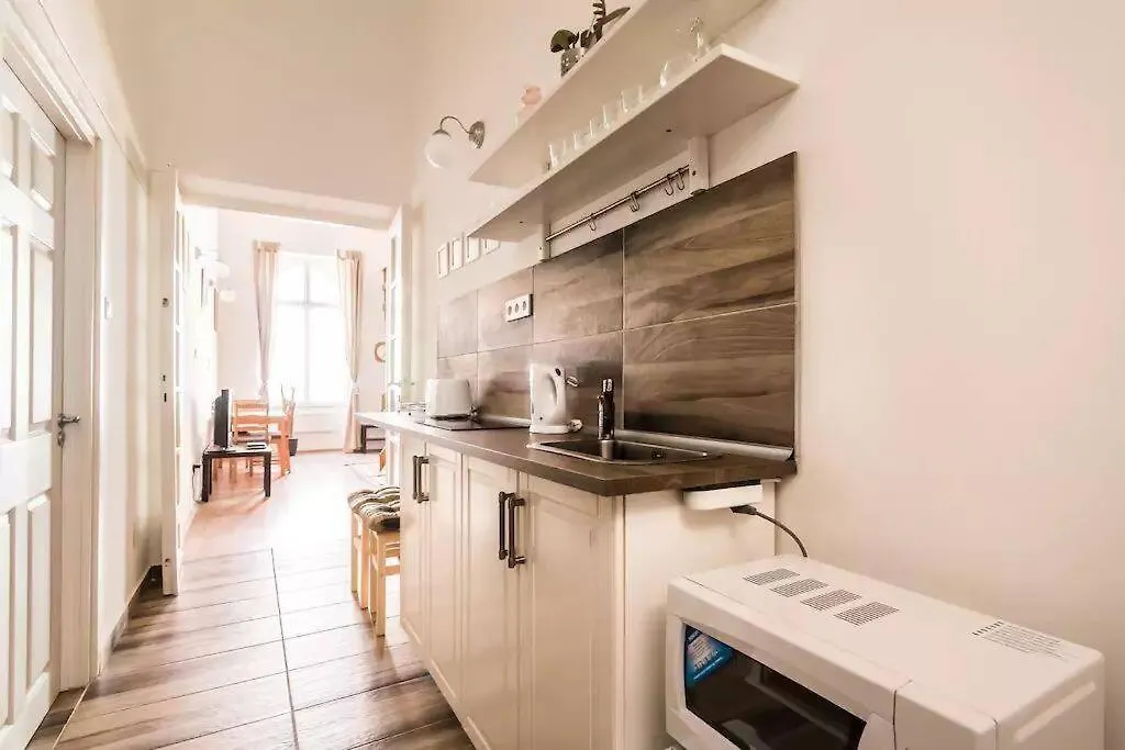 Apartment Spacious Lofted Place Next To The Pub District Budapest