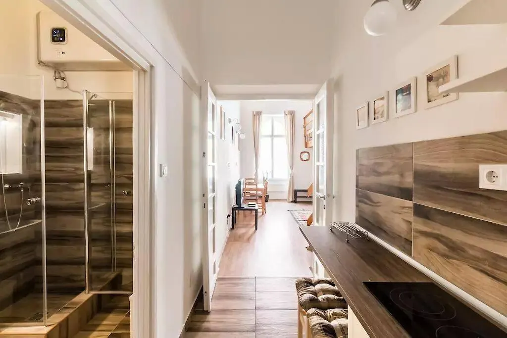 Apartment Spacious Lofted Place Next To The Pub District Budapest